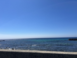 �ǂ��V�C������